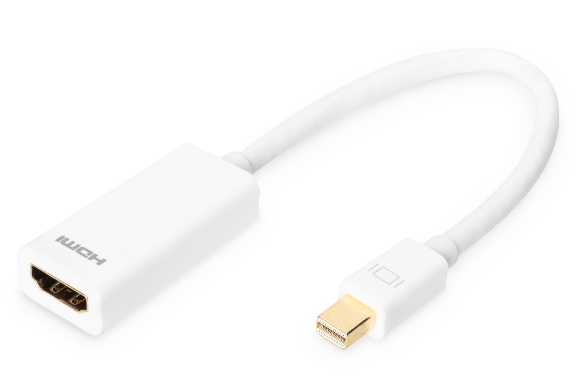 Digitus DisplayPort Adapter / Converter